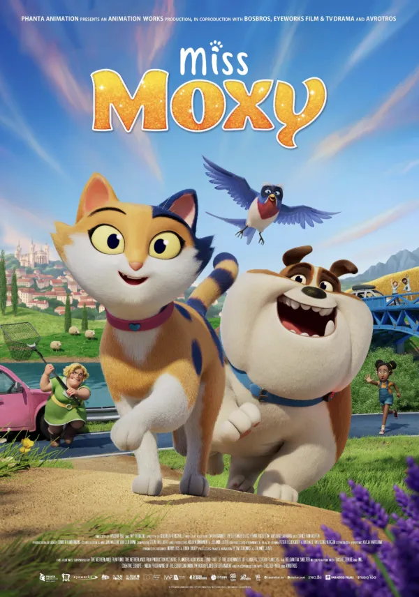 Cesur Kedi Moxy