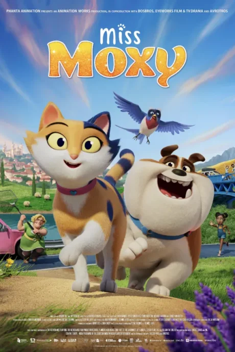 Cesur Kedi Moxy