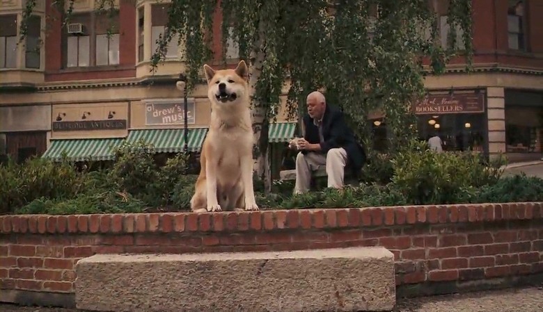 hachi, köpeğin, hikayesi, dog, story